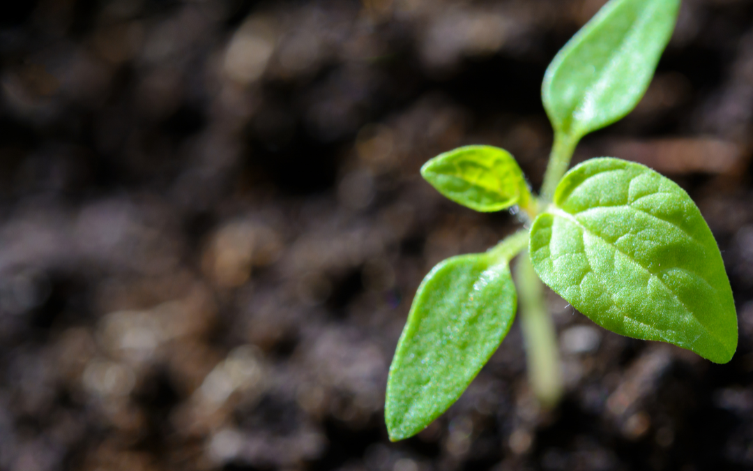 Reclaim Your Personal Growth